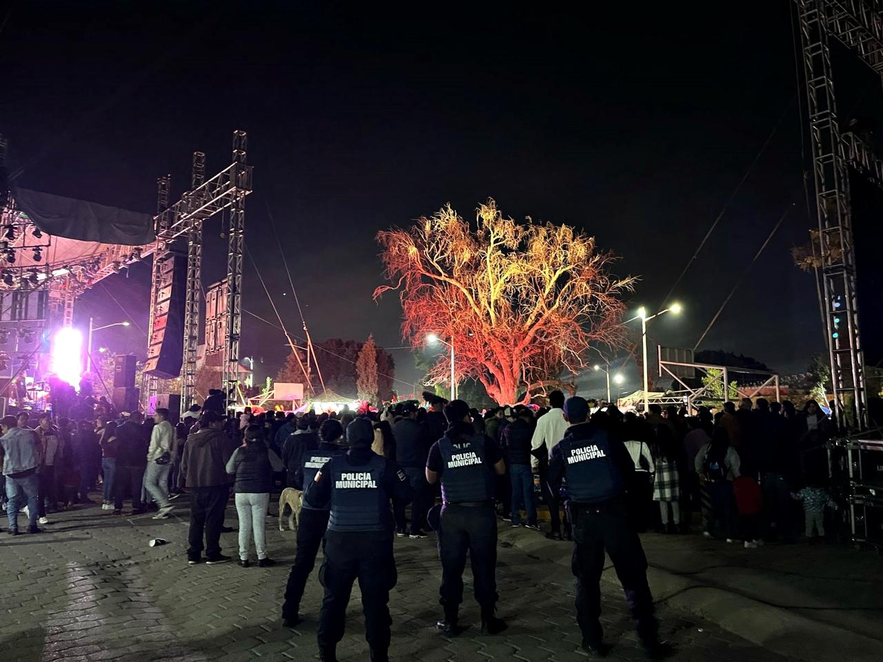 Concluye Carnaval de San Francisco Ocotlán con saldo blanco