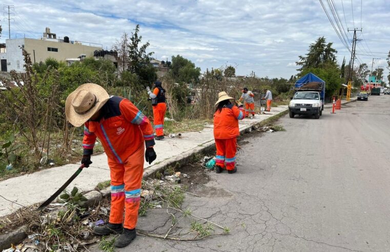 Mantiene Gobierno de la Ciudad trabajos de limpieza urbana en la capital