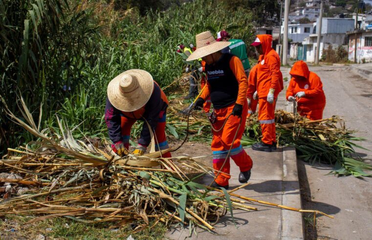 Refuerza Gobierno de la Ciudad acciones de prevención ante la temporada de lluvias con coordinación intergubernamental