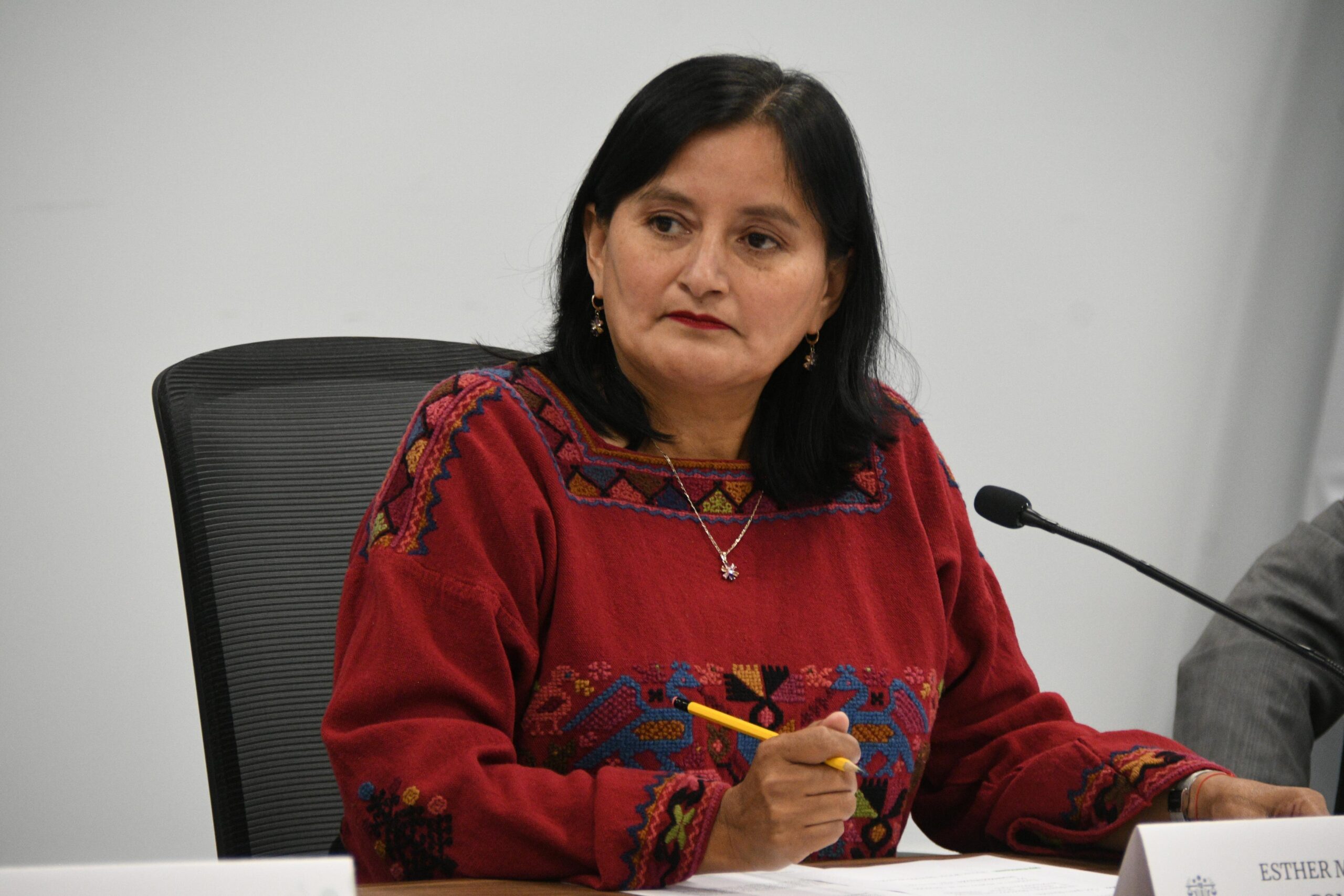 PUEBLA AVANZA EN TRANSPARENCIA AMBIENTAL: SE APRUEBAREFORMA IMPULSADA POR LA DIPUTADA ESTHER MARTÍNEZ ROMANO