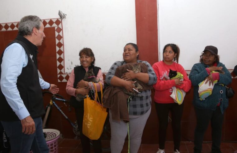 Realiza Gobierno de la Ciudad acciones en favor del bienestar animal en la capital