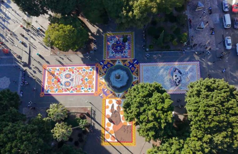 Invita Pepe Chedraui a disfrutar del tapete monumental y ofrenda del Palacio Municipal