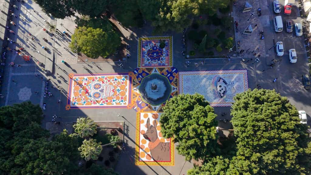 Invita Pepe Chedraui a disfrutar del tapete monumental y ofrenda del Palacio Municipal