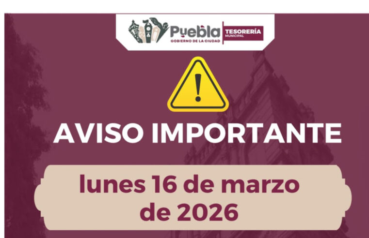 Informa Gobierno de Pepe Chedraui módulos de cobro y atención de servicios para el 16 de marzo