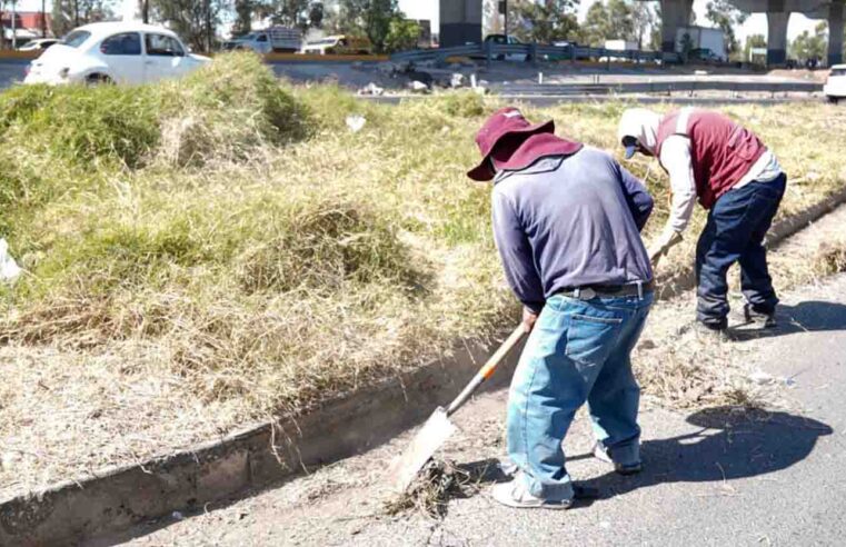 Interviene Gobierno de la Ciudad más de 460 mil metros cuadrados con poda y chapeo en 2026