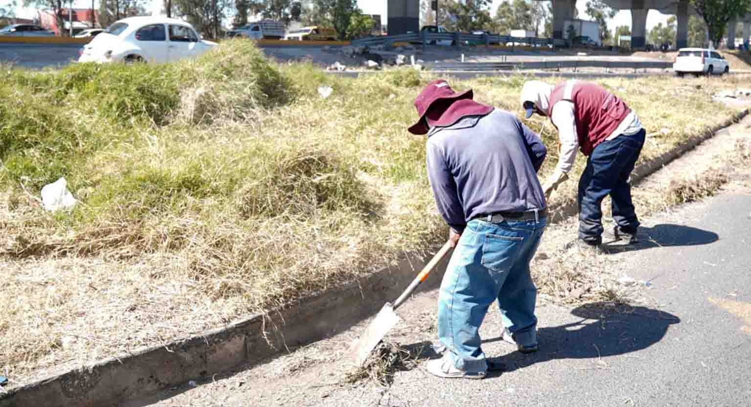 Interviene Gobierno de la Ciudad más de 460 mil metros cuadrados con poda y chapeo en 2026