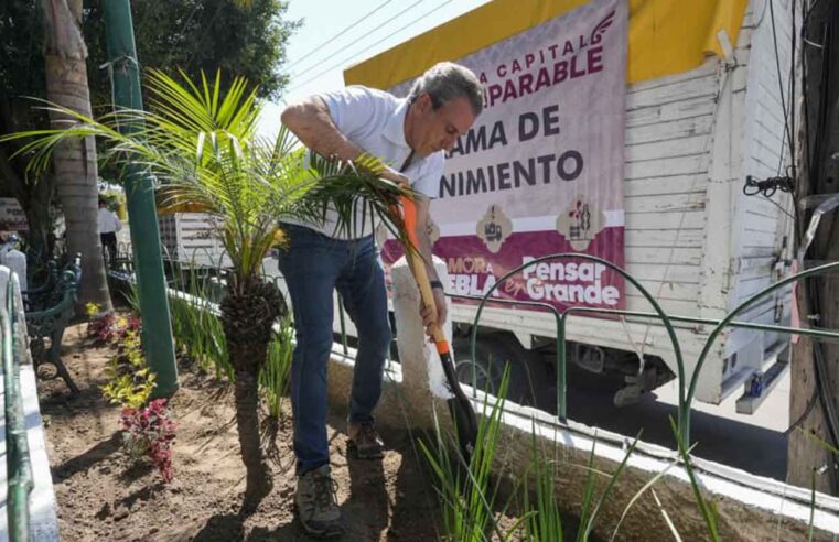 Refuerza gobierno de Pepe Chedraui acciones de reforestación en la capital poblana