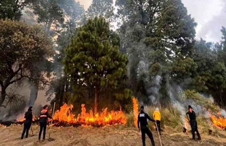SSP Estatal coordina extinción de cuatro incendios en Tepatlaxco, Puebla y Tlachichuca