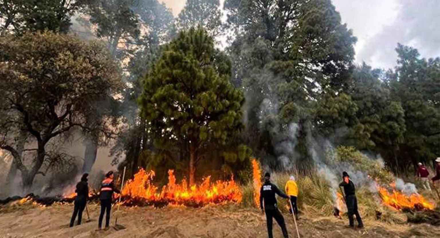 SSP Estatal coordina extinción de cuatro incendios en Tepatlaxco, Puebla y Tlachichuca