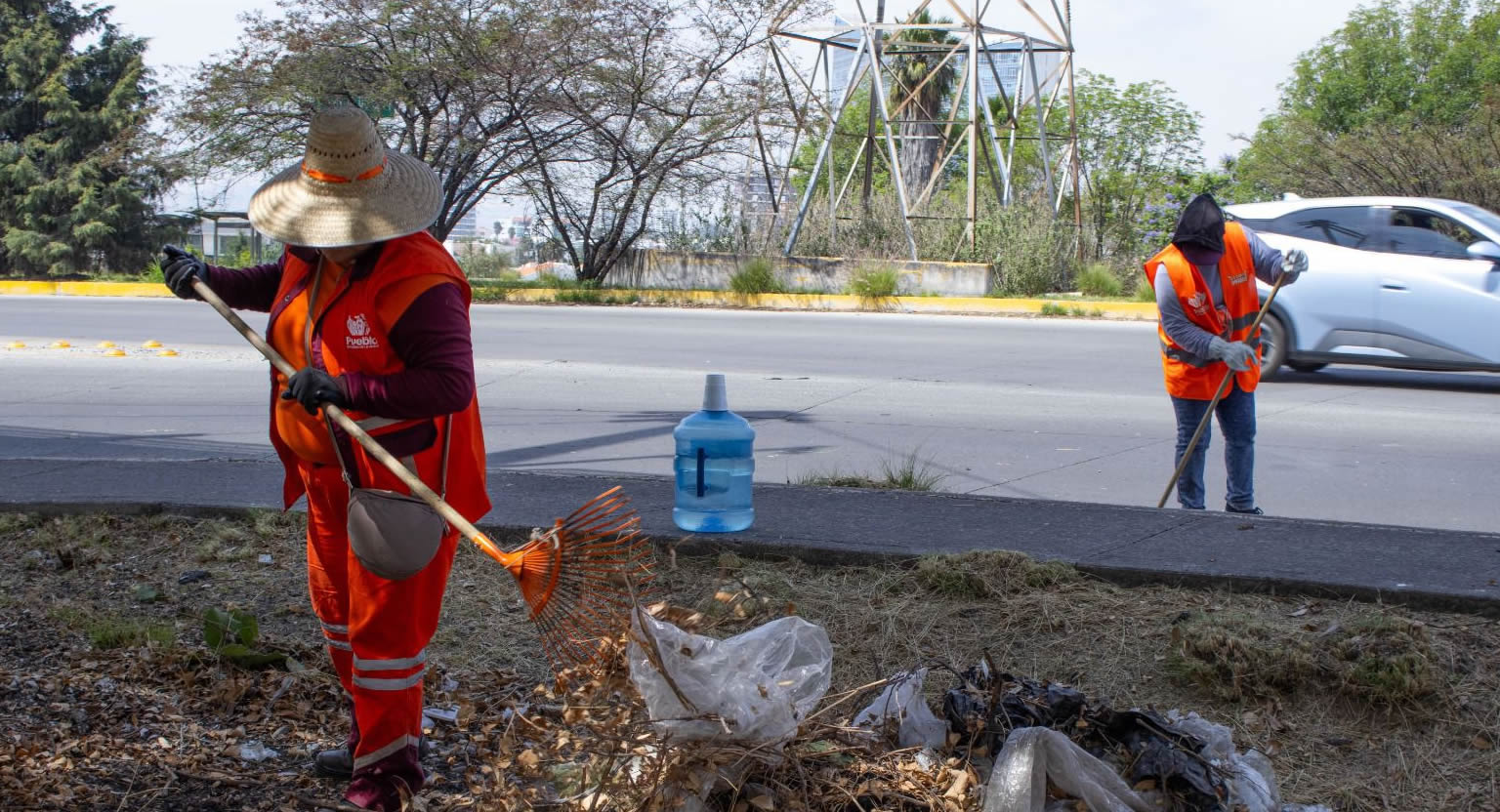 Acciones de limpieza del Gobierno de Pepe Chedraui llegan a Bulevar Municipio Libre