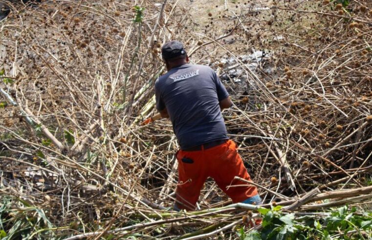 Gobierno de Pepe Chedraui inicia intervención de limpieza en barranca de Río Zapatero