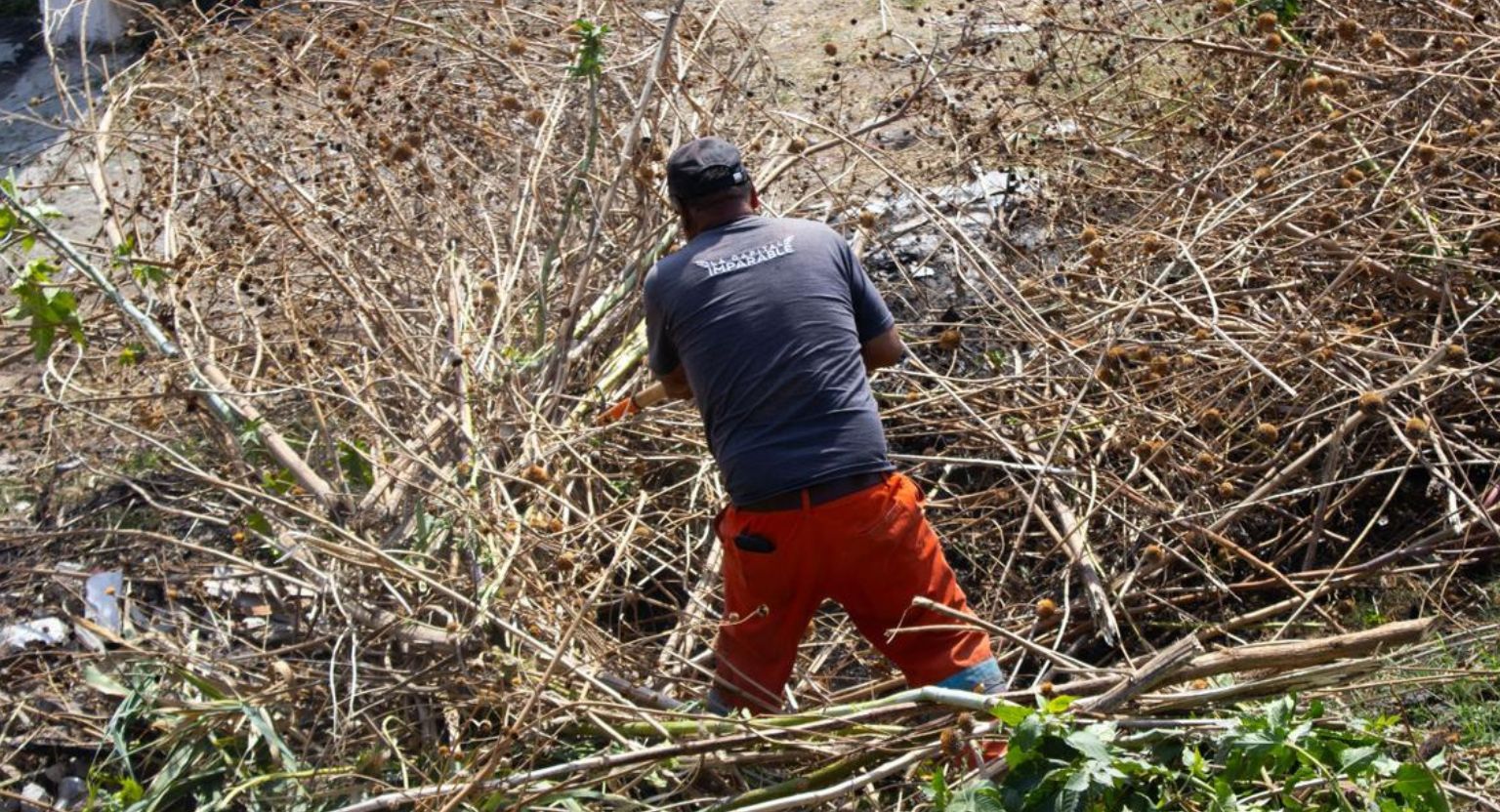 Gobierno de Pepe Chedraui inicia intervención de limpieza en barranca de Río Zapatero