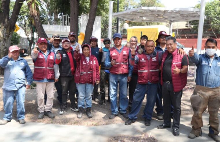 Gobierno de Pepe Chedraui realiza labores de poda y chapeo en espacios públicos