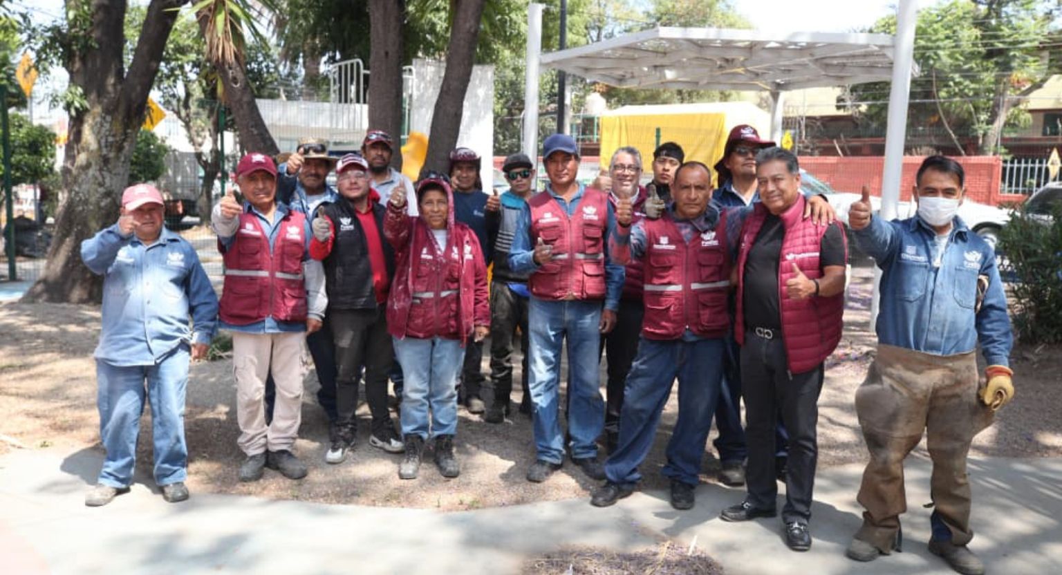 Gobierno de Pepe Chedraui realiza labores de poda y chapeo en espacios públicos