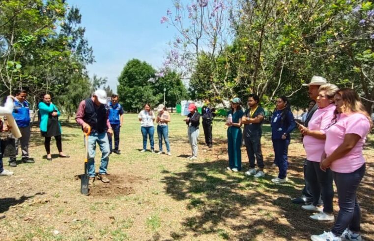 Reforestación masiva en la Reserva Territorial Atlixcáyotl–Quetzalcóatl