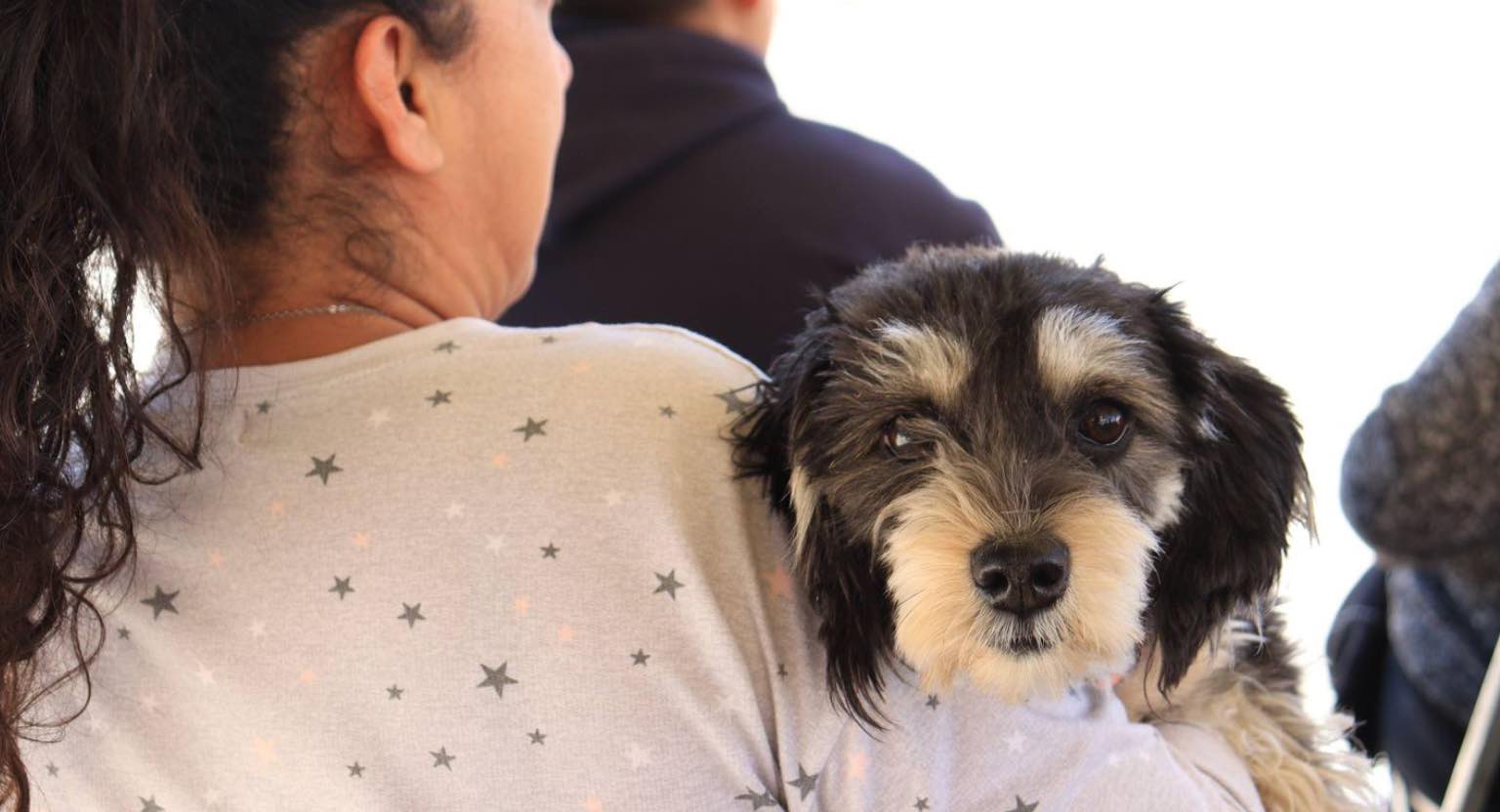 Invita gobierno de Pepe Chedraui a «Jornadas de Adopción de Gatitos y Perritos»