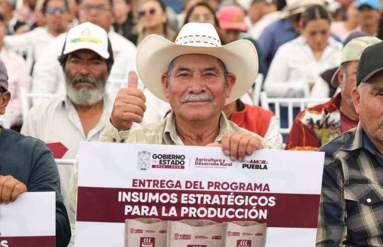 Apoya Gobierno Estatal a viveristas y campesinos poblanos para impulsar soberanía alimentaria