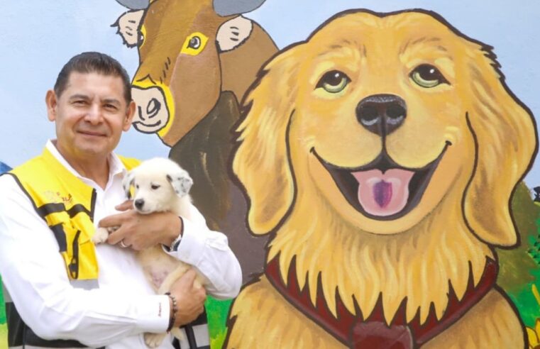 Centro de bienestar animal, ejemplo nacional de protección y cuidado a seres sintientes