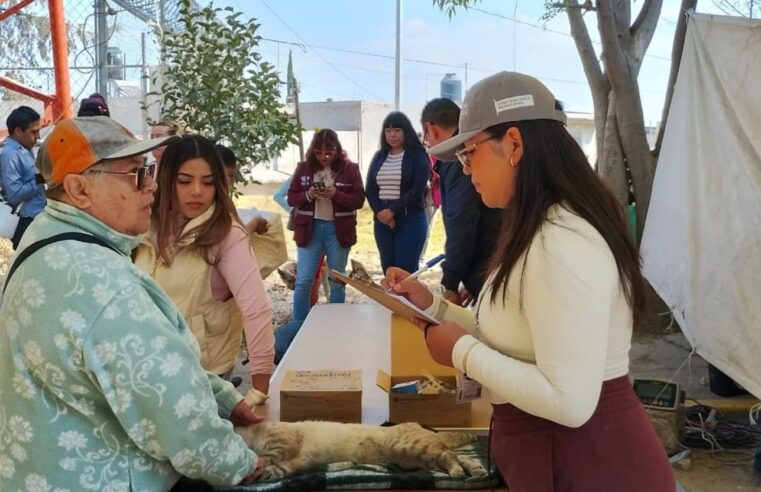 Fortalece Gobierno de Pepe Chedraui la mejora de servicios mediante verificaciones ciudadanas