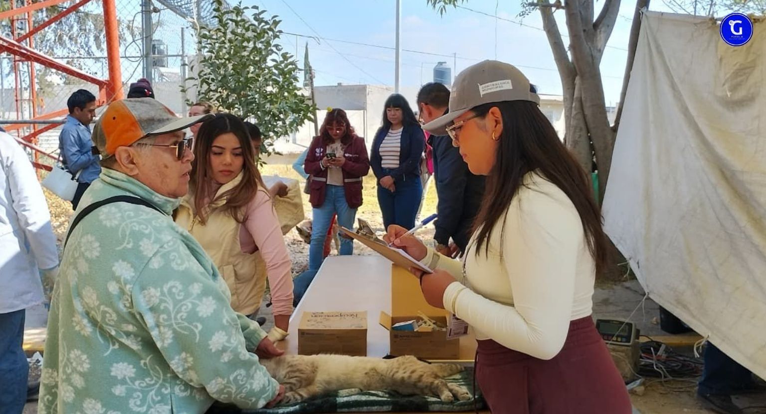 Fortalece Gobierno de Pepe Chedraui la mejora de servicios mediante verificaciones ciudadanas