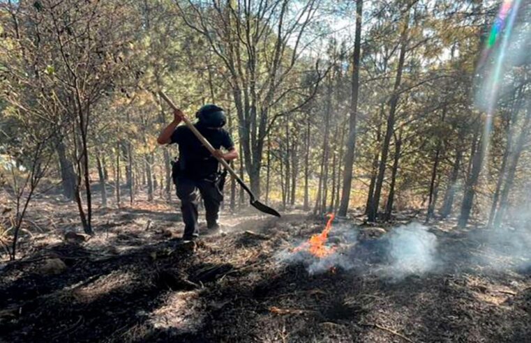 Fortalece Seguridad Pública protección y combate a delitos ambientales