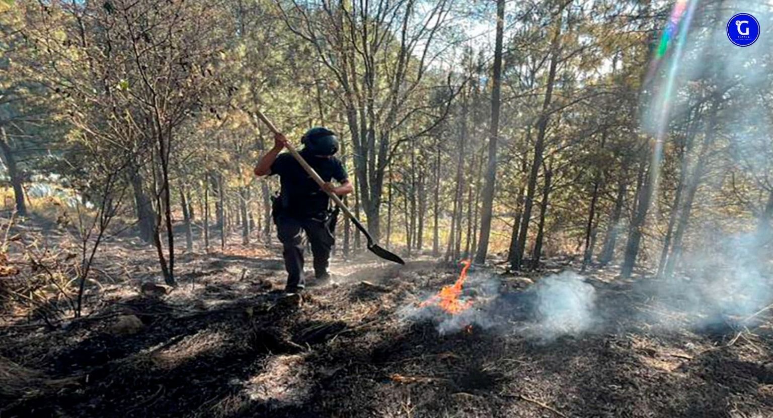 Fortalece Seguridad Pública protección y combate a delitos ambientales