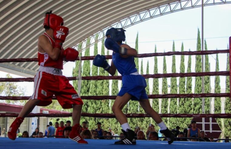 Gobierno de Pepe Chedraui desarrolla la sexta y séptima función del Torneo de Barrios de Box 2026