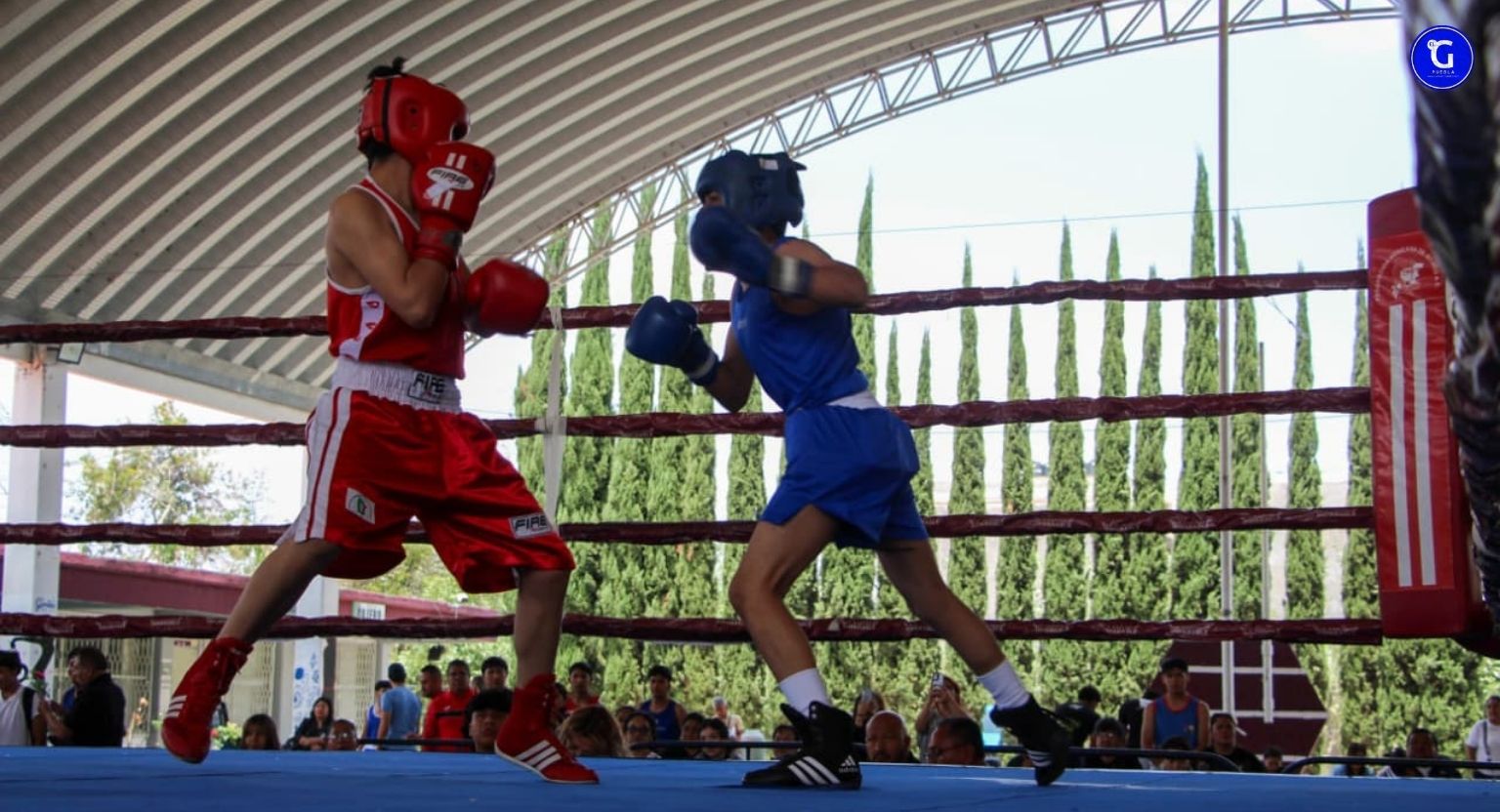 Gobierno de Pepe Chedraui desarrolla la sexta y séptima función del Torneo de Barrios de Box 2026