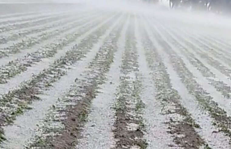 Gobierno del Estado supervisa afectaciones por granizada en municipios de Región Izta-Popo