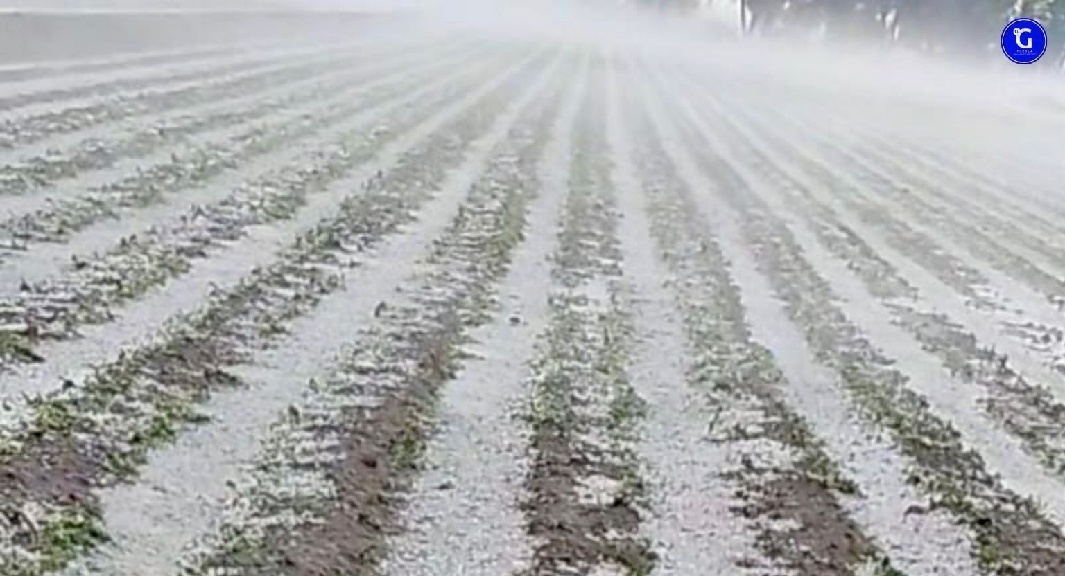 Gobierno del Estado supervisa afectaciones por granizada en municipios de Región Izta-Popo