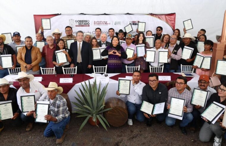 Puebla consolida liderazgo nacional en producción de mezcal con 91 medallas