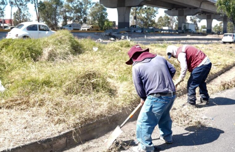 Refuerza Gobierno de Pepe Chedraui mantenimiento en bajo puentes de la capital