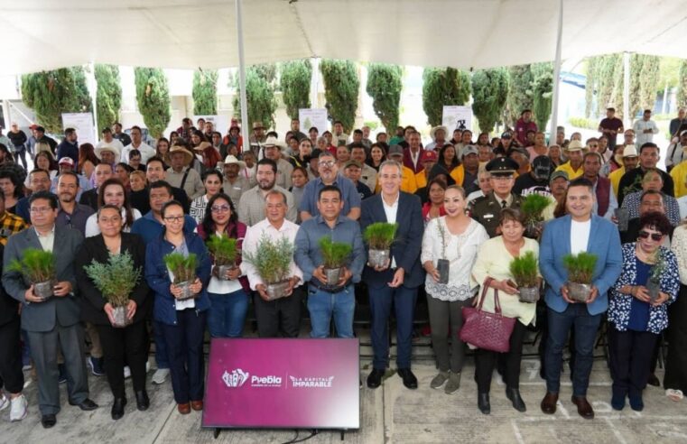 Avanza Pepe Chedraui en la recuperación de áreas verdes con “Raíces del Futuro”