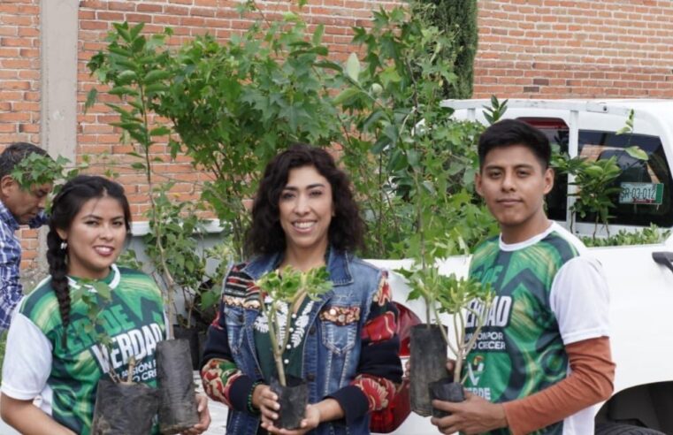 Diputada Norma Pimentel impulsa jornadas de reforestación en escuelas