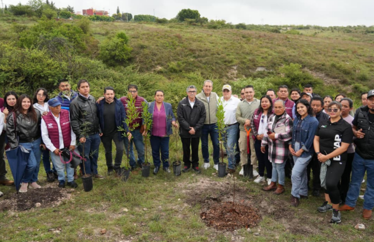 Encabeza Pepe Chedraui jornada de reforestación en Ecocampus BUAP