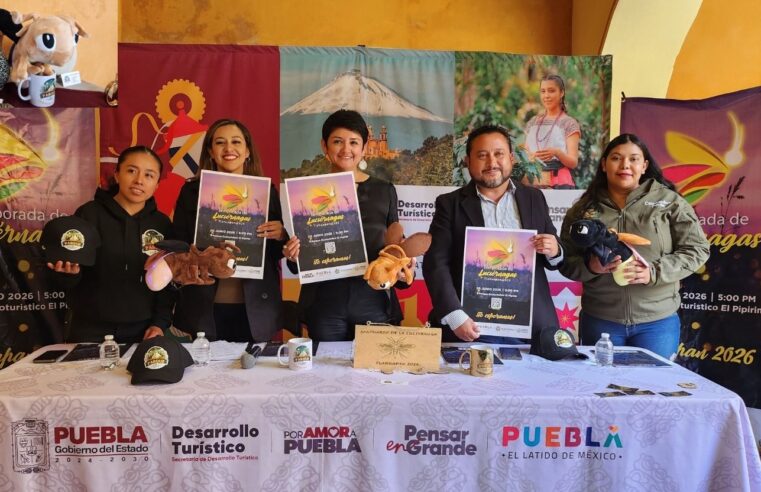 Inicia temporada de avistamiento de luciérnagas en Tlahuapan