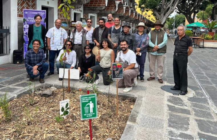 Pepe Chedraui promueve el cuidado y conservación del arbolado urbano en Puebla