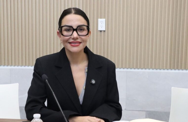 Propone diputada Nayeli Salvatori regulación de estacionamientos