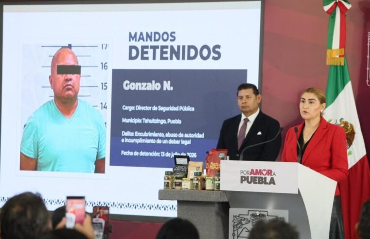 Con inteligencia y estrategia, Gobierno desmantela producción de estupefacientes en Sierra Norte