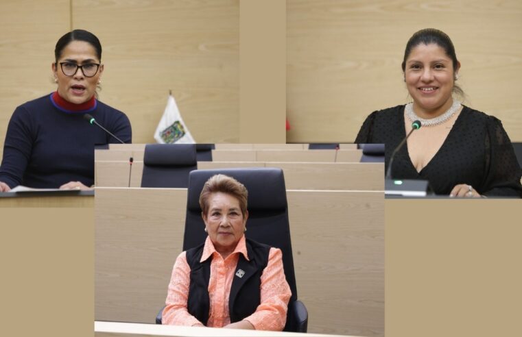 Diputada Celia Bonaga propone reforma para garantizar la procedencia legal de productos forestales
