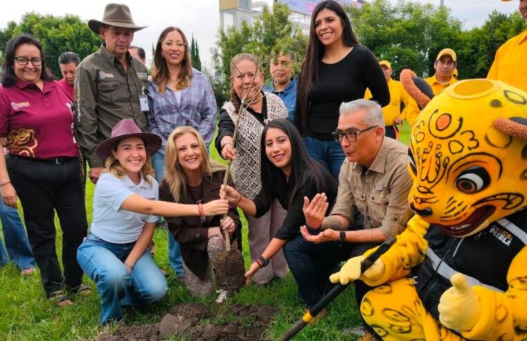 Gobierno estatal plantará 2 millones de árboles con visión integral de restauración