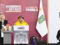 Gobierno reduce el 55% la superficie afectada por incendios forestales