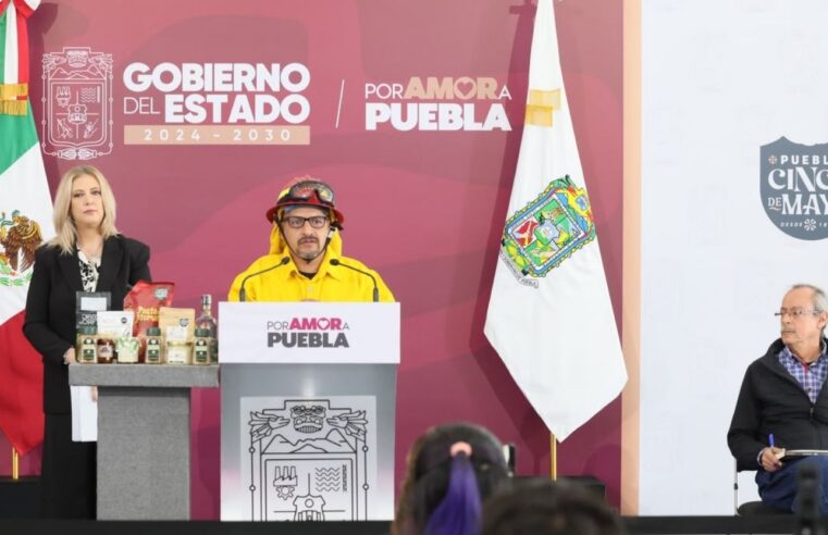 Gobierno reduce el 55% la superficie afectada por incendios forestales