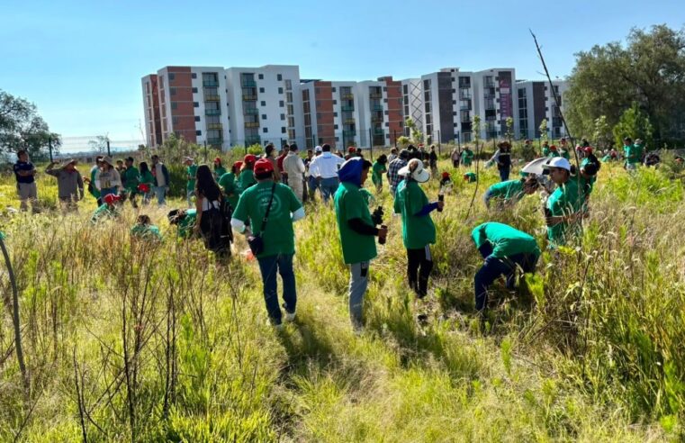 Impulsa Gobierno de Pepe Chedraui restauración del Cerro de Amalucan con “Raíces del Futuro”