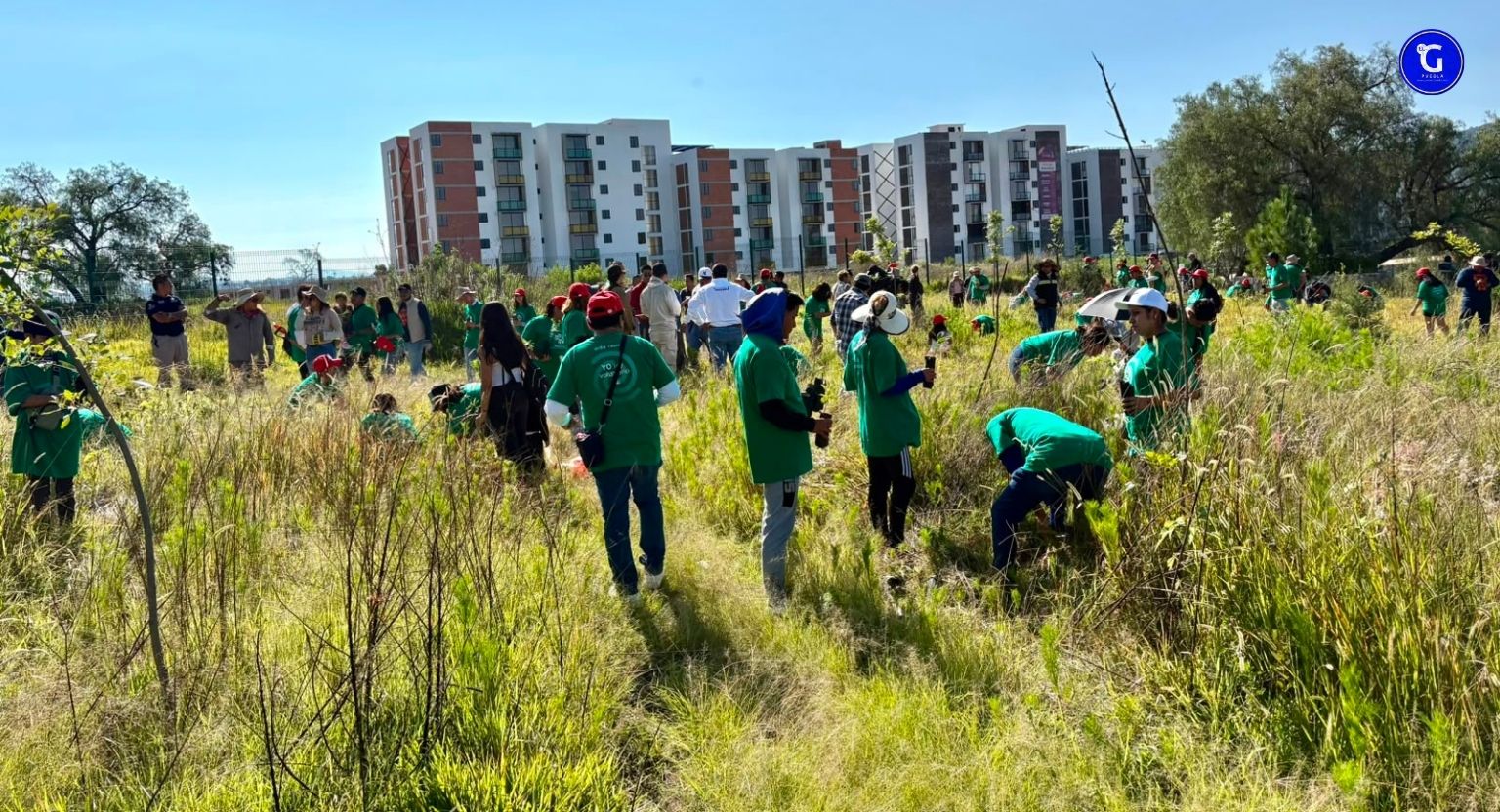 Impulsa Gobierno de Pepe Chedraui restauración del Cerro de Amalucan con “Raíces del Futuro”