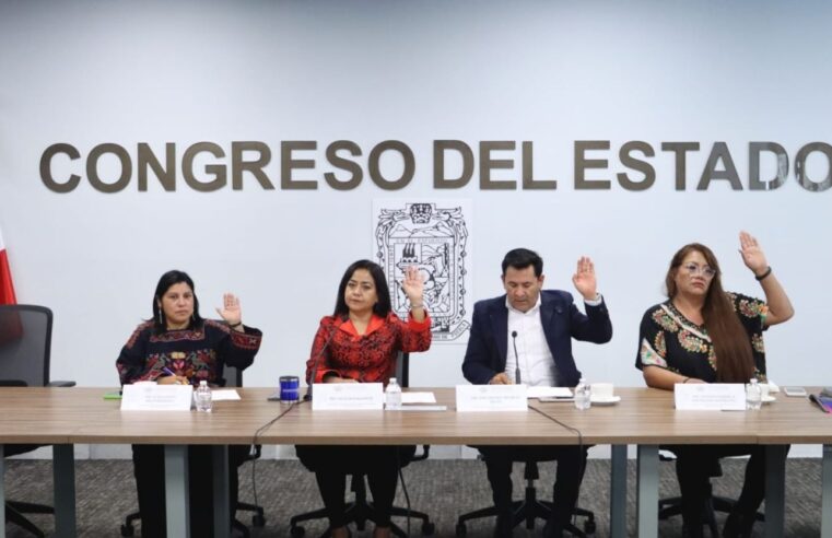 Impulsan desde el Congreso del Estado acciones para promover el bienestar animal