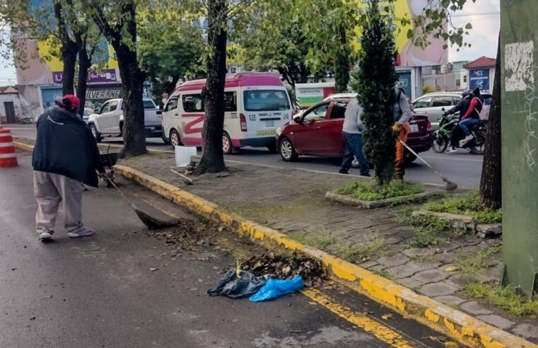 Interviene gobierno de Pepe Chedraui más de 16 millones de metros cuadrados de camellones