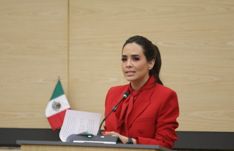 Propone diputada Graciela Palomares exhorto para reforzar operativos contra la venta de autopartes ilícitas en la 46 Poniente