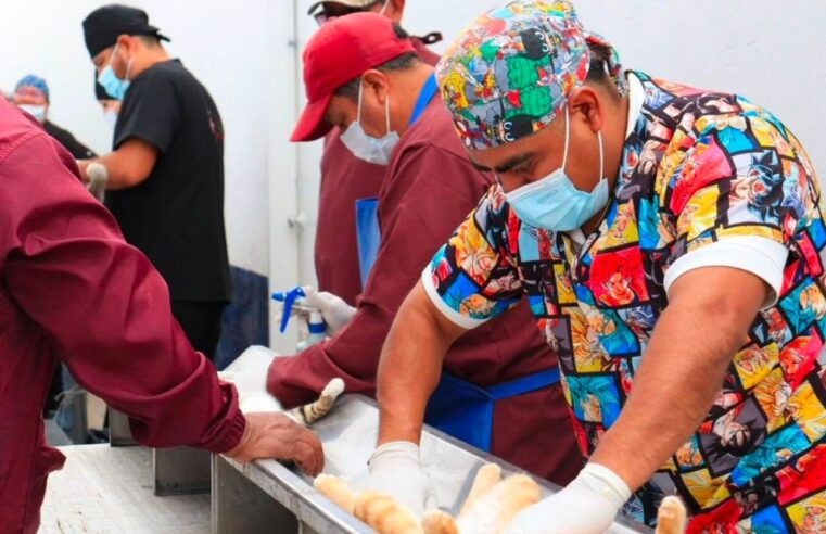 Puebla fortalece el bienestar animal con más de 200 jornadas de protección animal