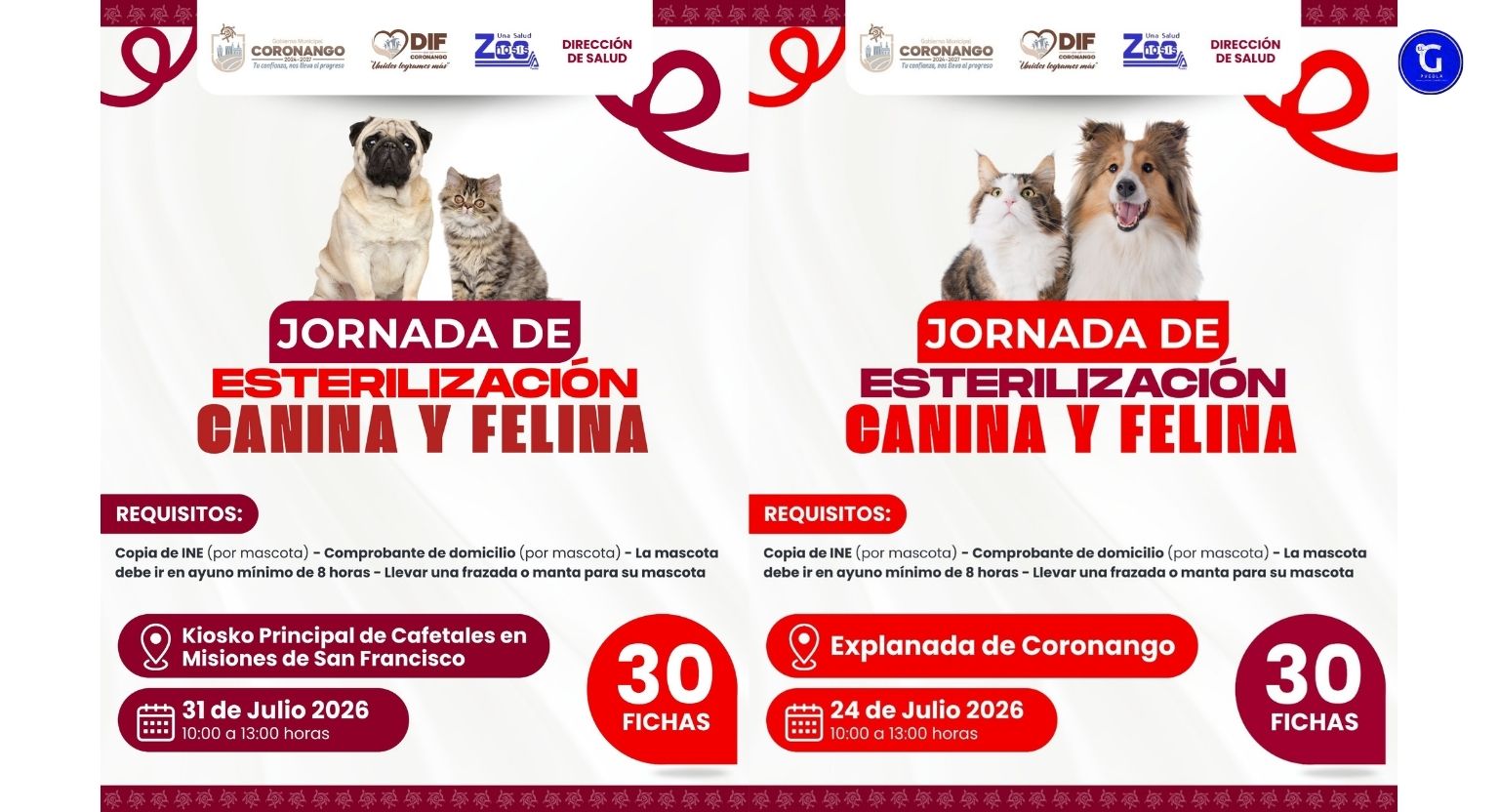 Realizará DIF Municipal de Coronango dos jornadas gratuitas de esterilización canina y felina